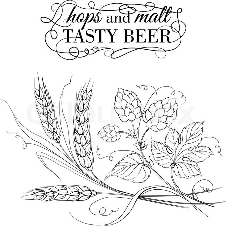 736x733 35 Best Hops Idea Images On Craft Beer, Hop Tattoo