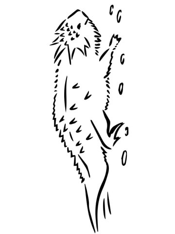 360x480 Horned Toad Lizard Coloring Page Free Printable Coloring Pages