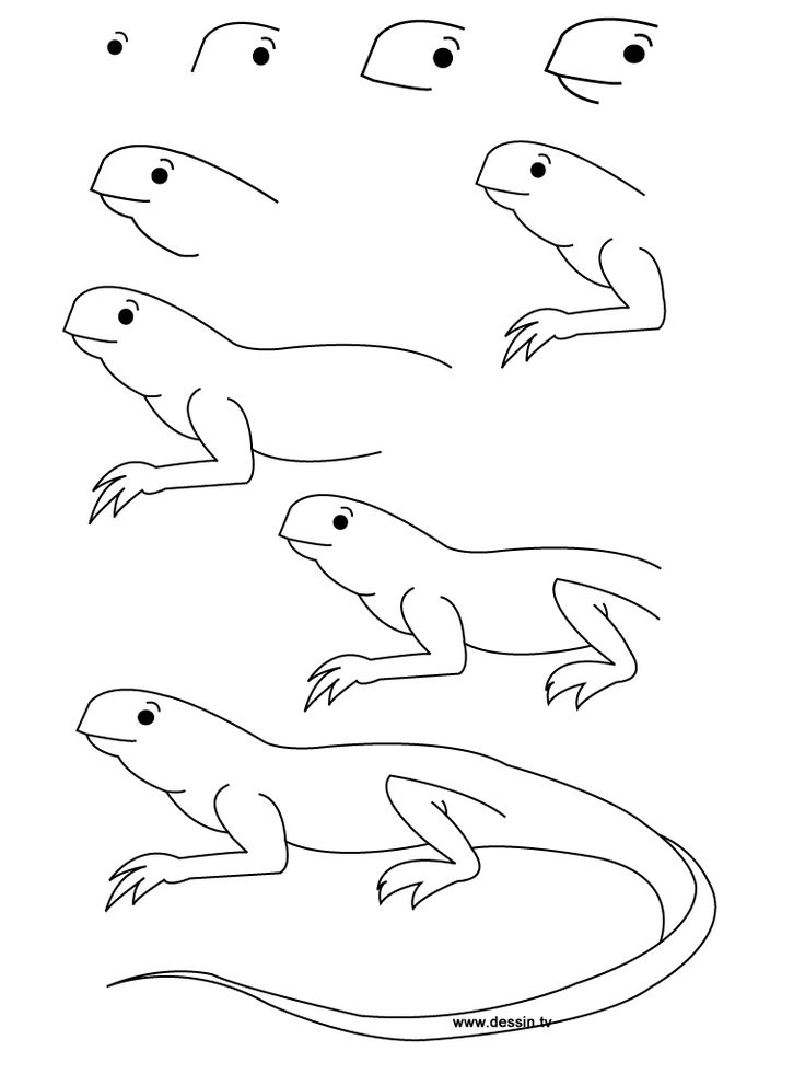 736x981 Pokemon Coloring Pictures Black And White Lizards Under Rock