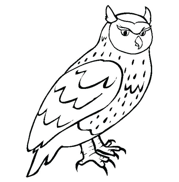 600x612 Great Horned Owl Coloring Page Hand Drawn Owl With Ethnic Floral