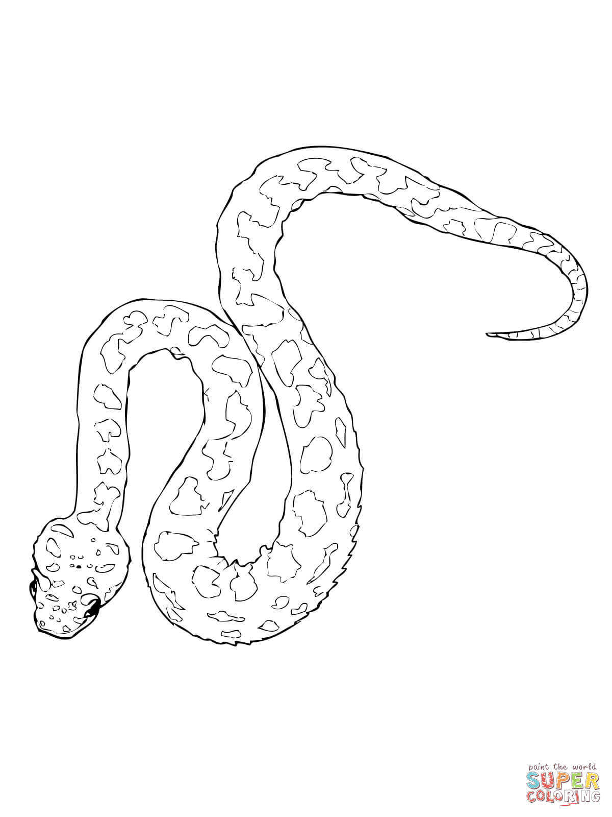 1200x1600 Horned Viper Coloring Page Free Printable Coloring Pages
