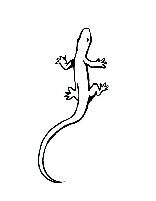 612x792 Lizard Coloring Pages
