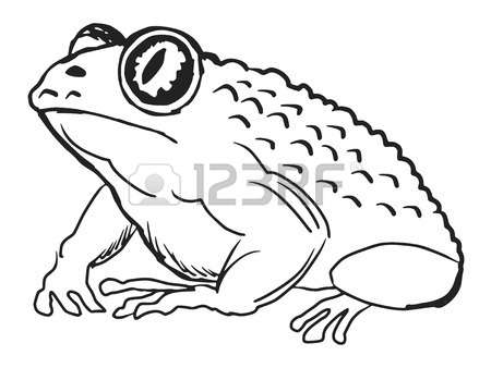 450x338 A Black Illustration Of Silhouette Of Tree Frog Royalty Free