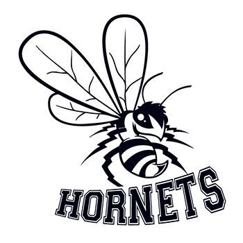 350x350 Hornets Sports Temporary Tattoo For A Go Get