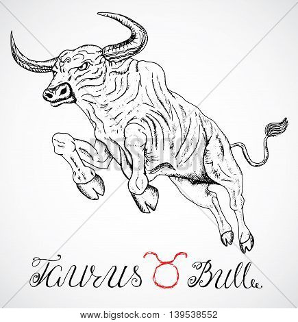 435x470 Hand Drawn Astrological Zodiac Vector Amp Photo Bigstock