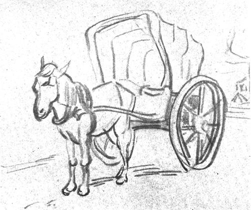 503x422 Horses Riders Carts And Donkeys Sketchuniverse Page 2