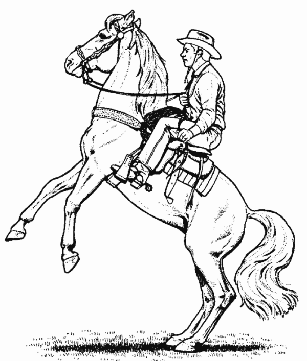 600x707 Cowboy Horse Coloring Page For Boys