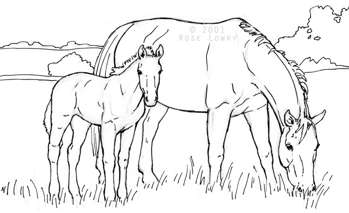 Horse And Foal Drawing at GetDrawings | Free download