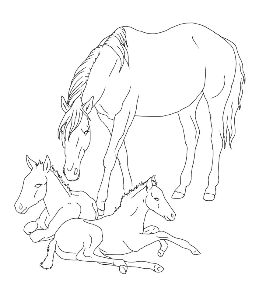 851x938 Mare With Twin Foals Lineart By Rainbowfountains