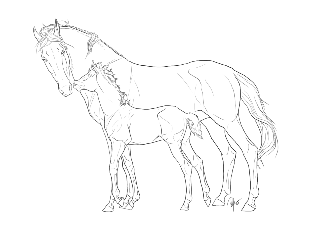 1280x905 Free Lineart