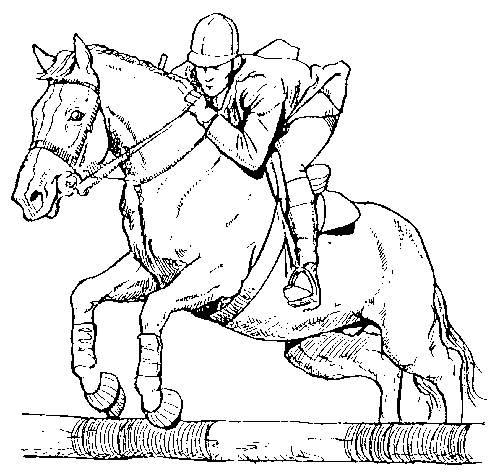 Horse And Rider Drawing at GetDrawings | Free download