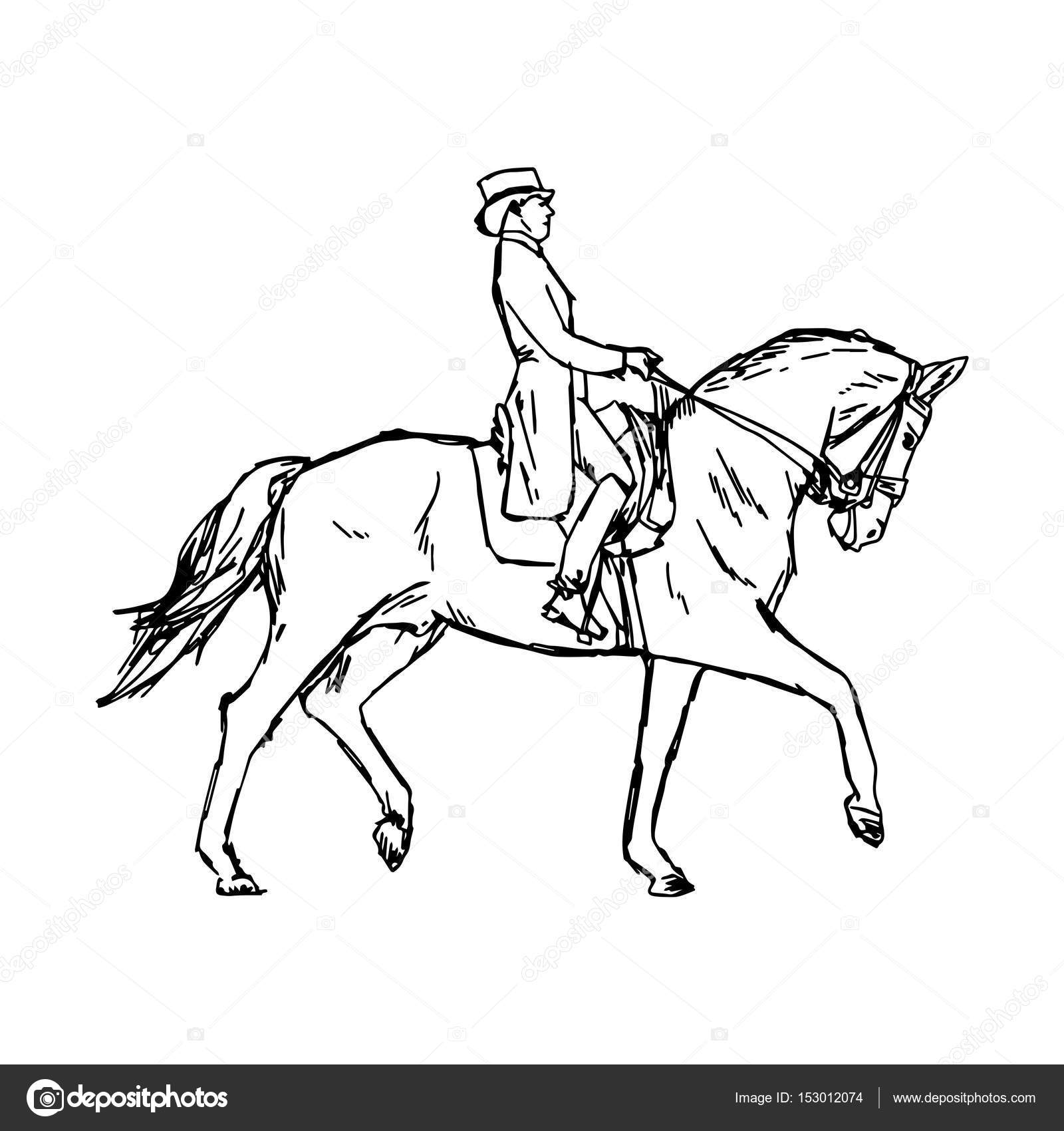 1600x1700 Young Rider Man On Horse