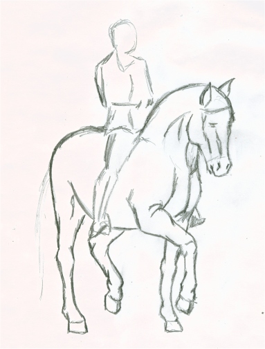 383x504 Horse + Rider Sketch By Asthenie