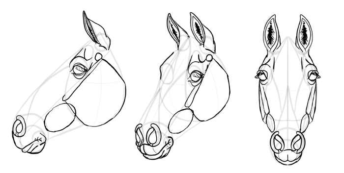 700x353 How To Draw Horses Step By Step Instructions
