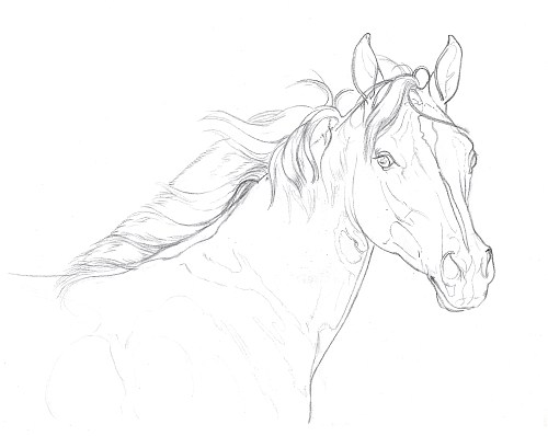 500x398 How To Draw With A Drawing Grid