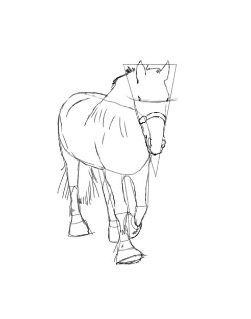 492x625 Horse Drawing Tutorial. A Three In One Free Lesson.