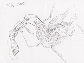 320x240 Royal Artist Body Worlds 2 (Sketches)