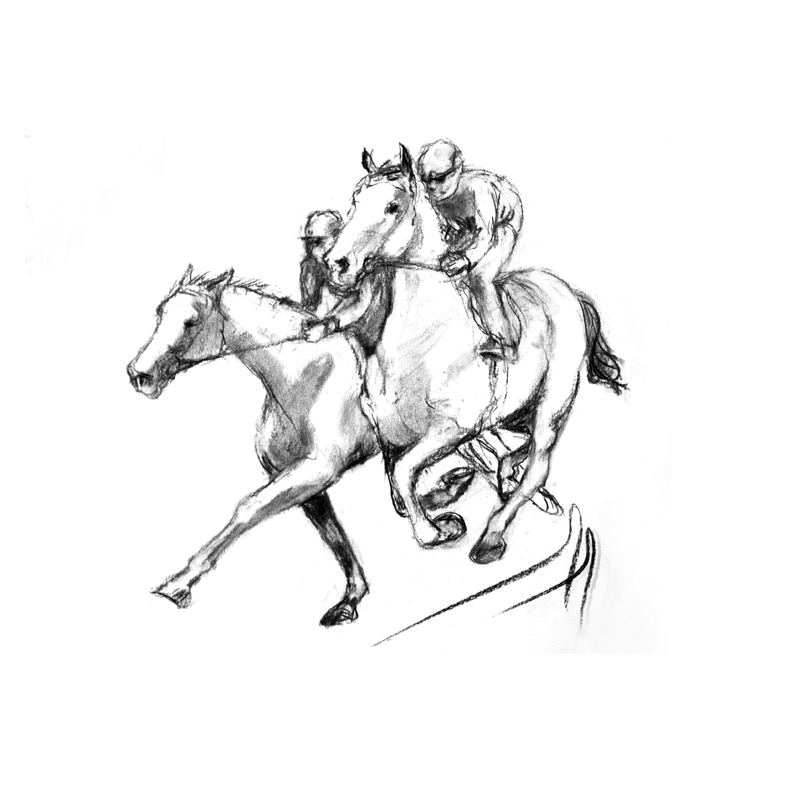 Horse Bridle Drawing at GetDrawings | Free download