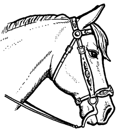 Horse Bridle Drawing at GetDrawings | Free download