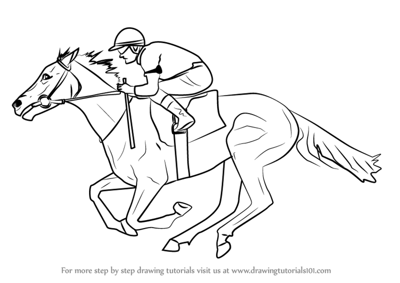 Horse Bridle Drawing at GetDrawings | Free download