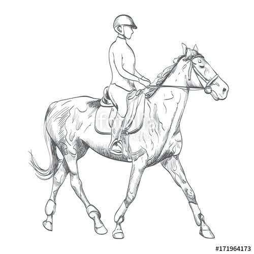 Horse Bridle Drawing at GetDrawings | Free download