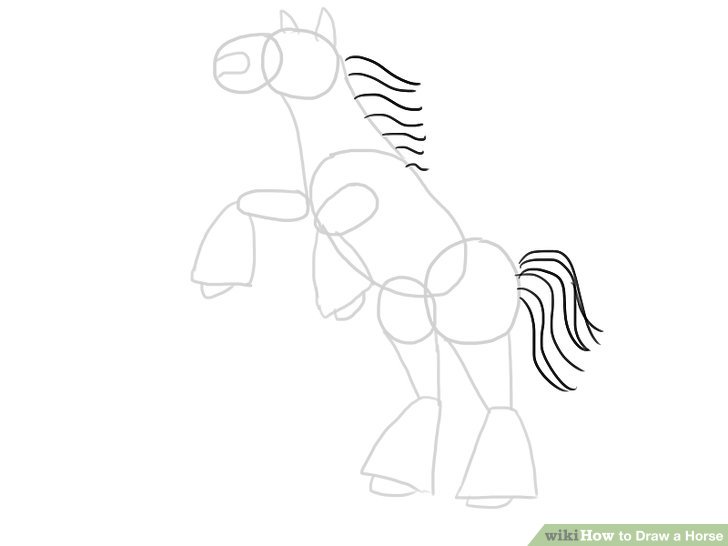 Horse Cartoon Drawing