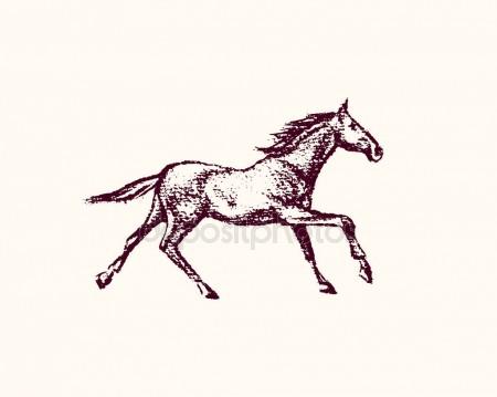 450x359 Hand Drawn Running Horse Stock Vector Ezhevica
