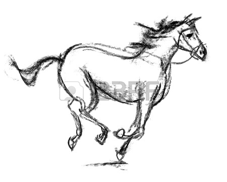 450x361 A Horse Sketch On Paper Stock Photo, Picture And Royalty Free