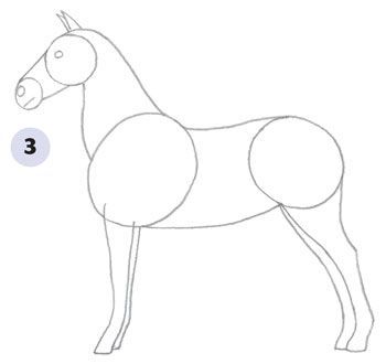 350x330 How To Draw A Horse