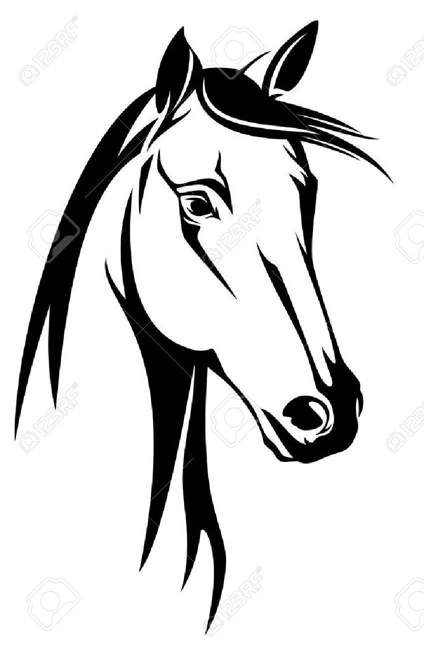 848x1300 Horse Head Black And White Design Royalty Free Cliparts, Vectors