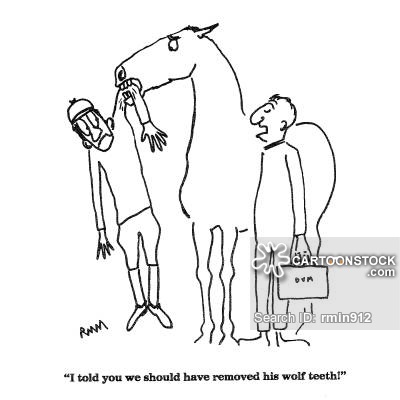 400x400 Horse Bites Cartoons And Comics