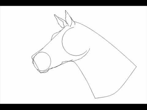 480x360 How To Draw A Horse The Easy Way ! !!!!old!!!!