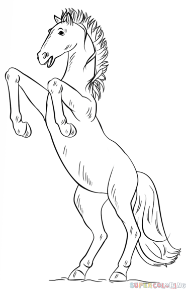370x575 How To Draw A Mustang Horse Step By Step. Drawing Tutorials