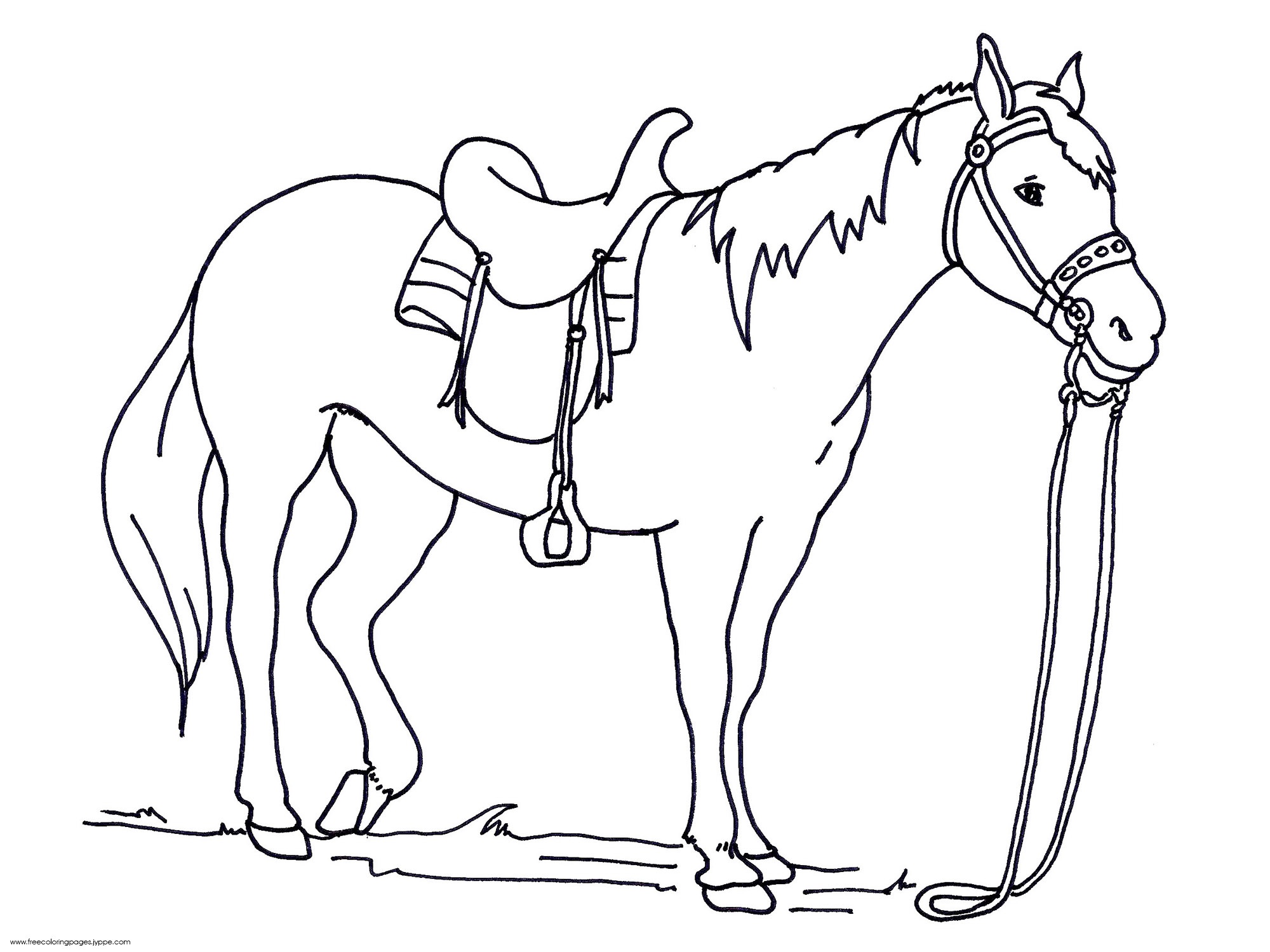 2000x1500 Horse Coloring Pages For Kindergarten Learning Printable