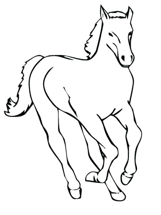 548x731 Mustang Horse Coloring Pages Simple Horse Drawings For Kids Images