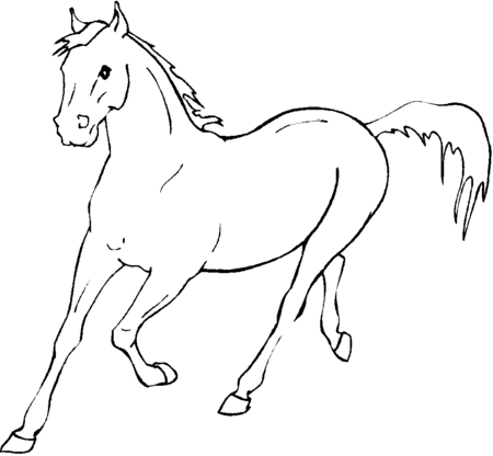 450x416 Final Product Image. How To Draw A Horse Baby Horse In Simple
