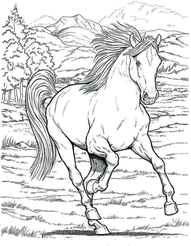 671x862 Horse Coloring Pictures Coloring Pages Pretty Horse Colouring