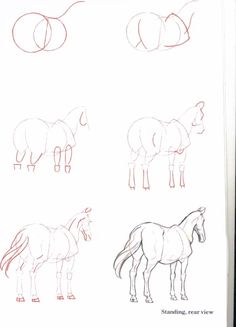 236x327 How To Draw A Horse Click Here For A Full List Of All