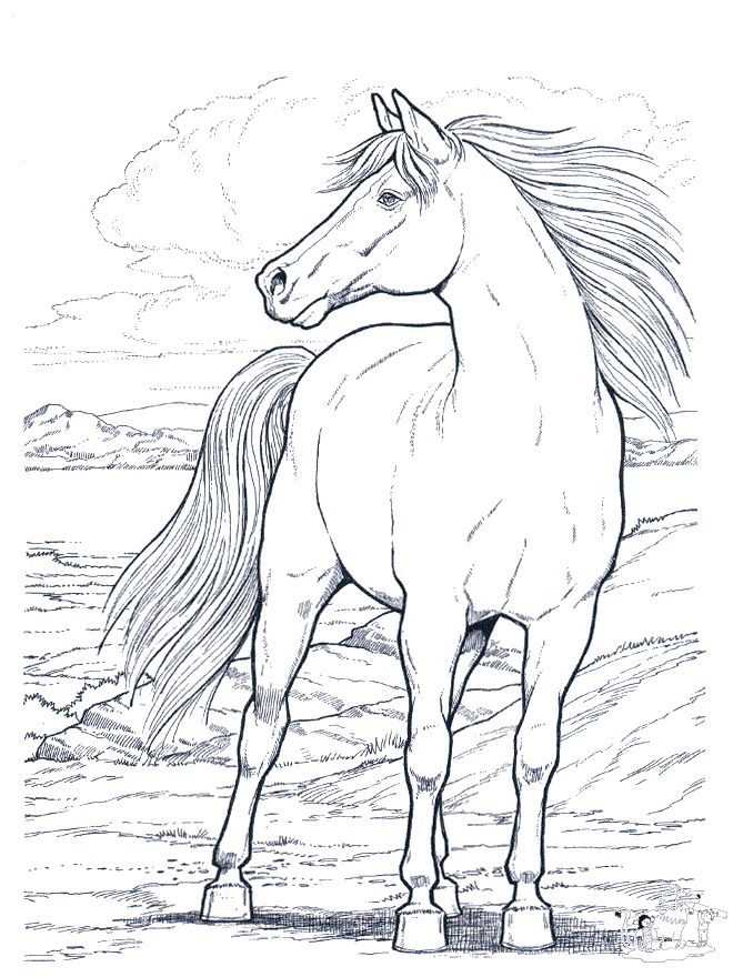 660x880 Free Online Horse Coloring Pages Games Real Horse Coloring Pages
