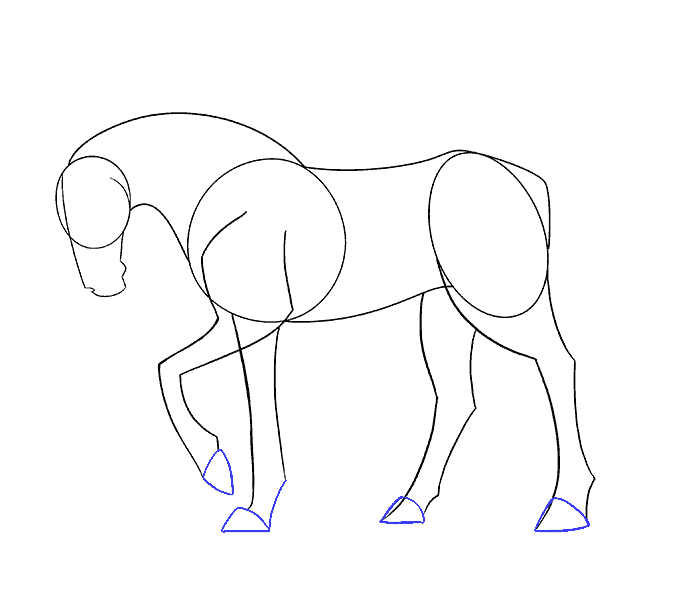 678x600 How To Draw A Simple Horse Easy Drawing Guides