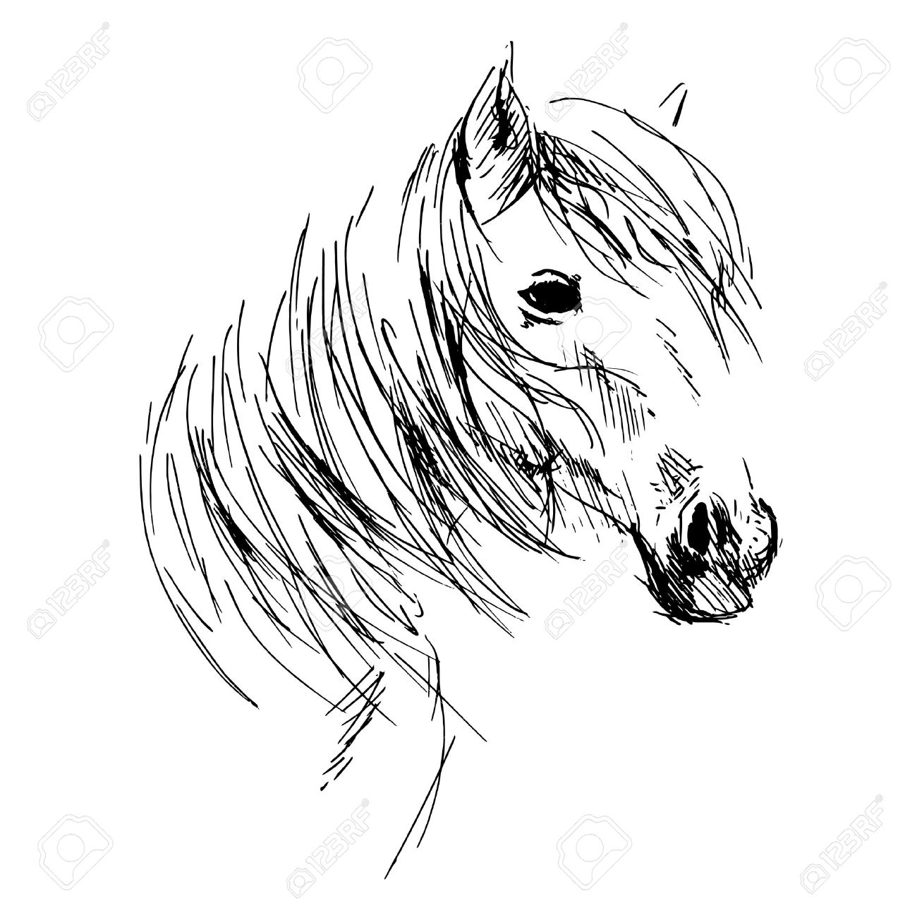 1300x1300 Hand Drawing Horse Head Royalty Free Cliparts, Vectors, And Stock