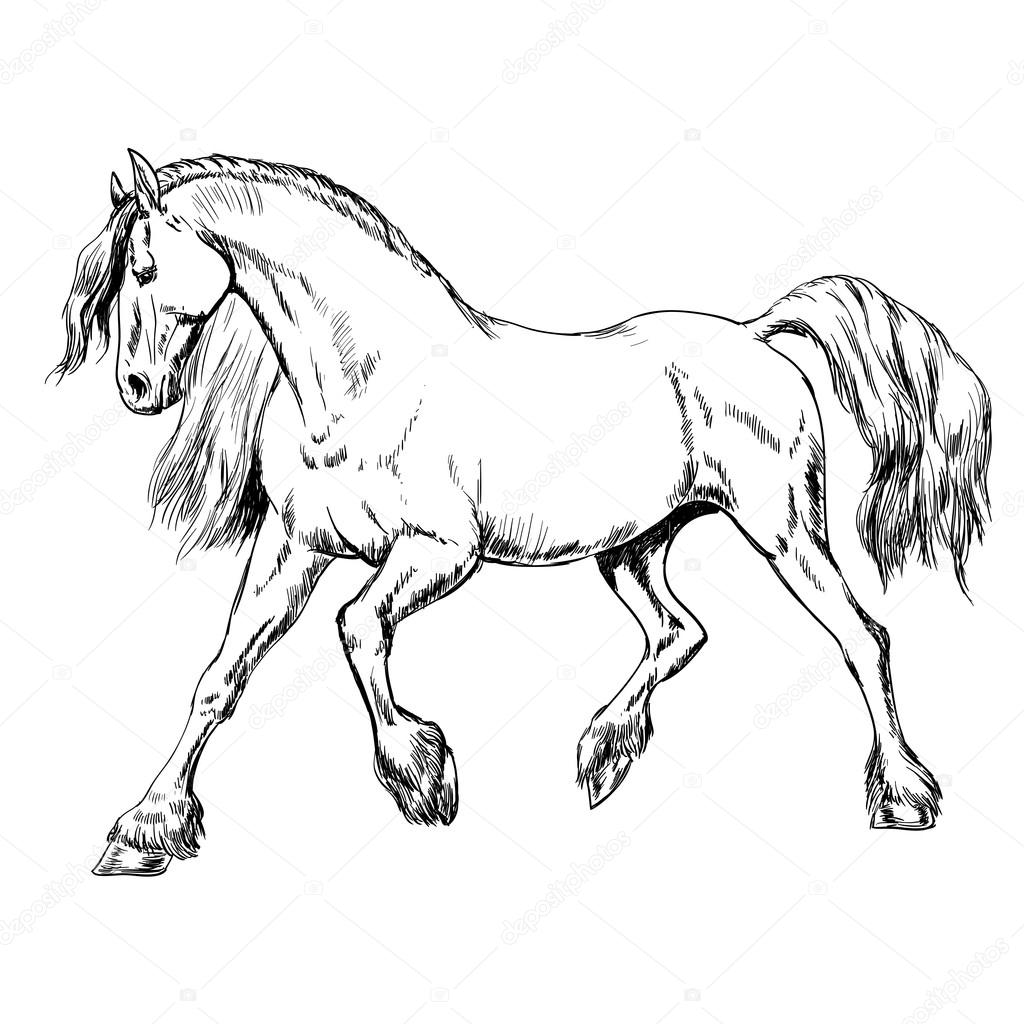 1024x1024 Outline Horse Sketch Stock Vector