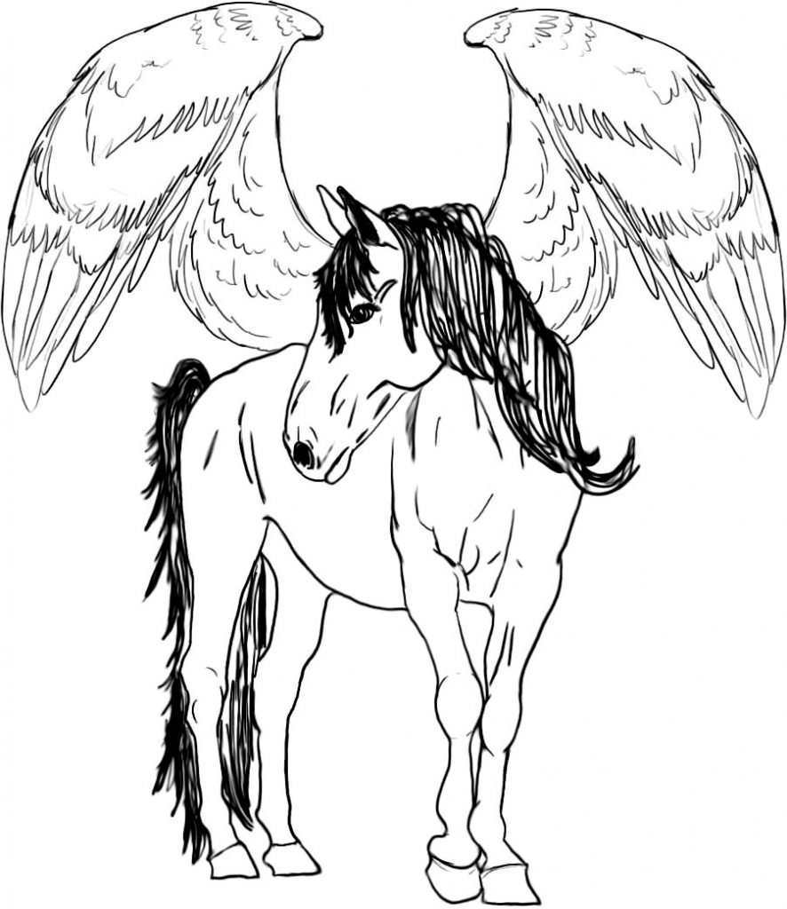 886x1024 Pegasus Flying Horse By M Escher Coloring Page Free Printable