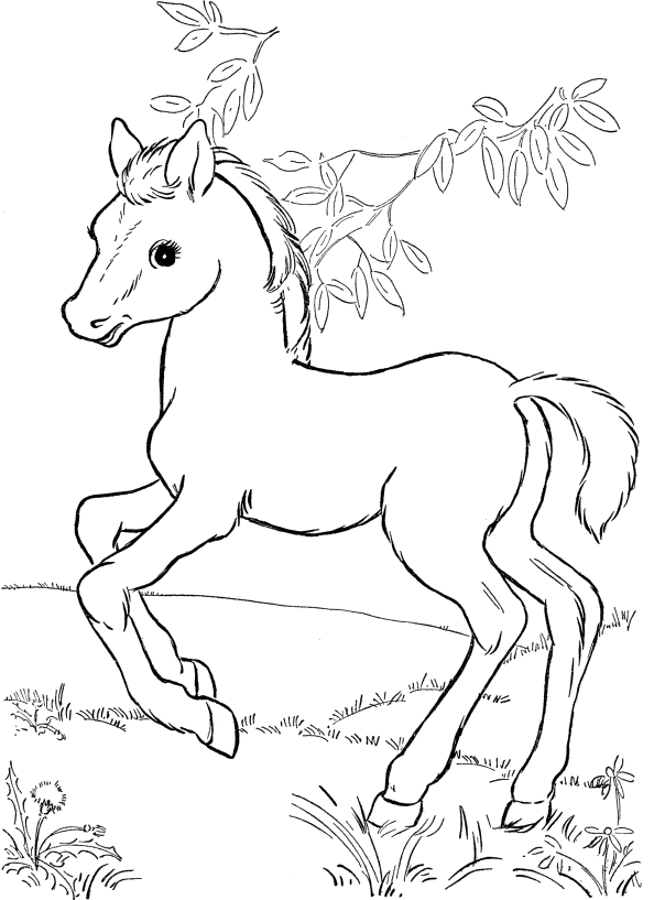 604x817 Coloring Pages Cute Horse Coloring Pages Little For Kids Bwi