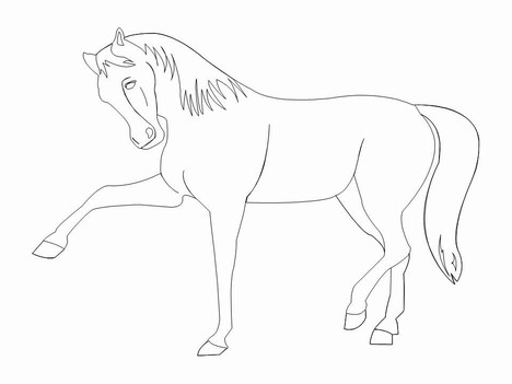 468x351 Horse Outlines Template