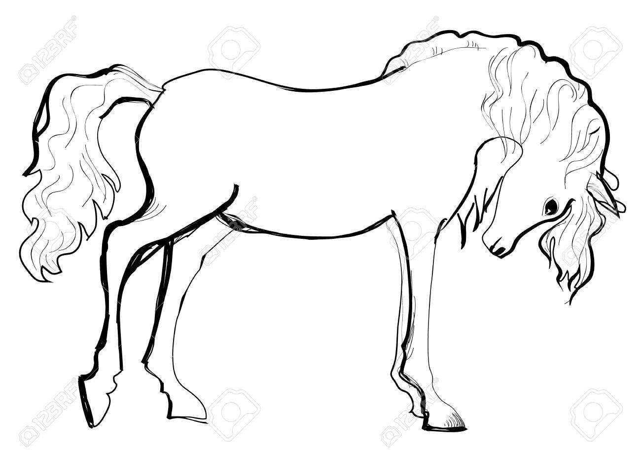 1300x912 Artistic Outline Sketch Of Horse Vector Illustration Royalty Free