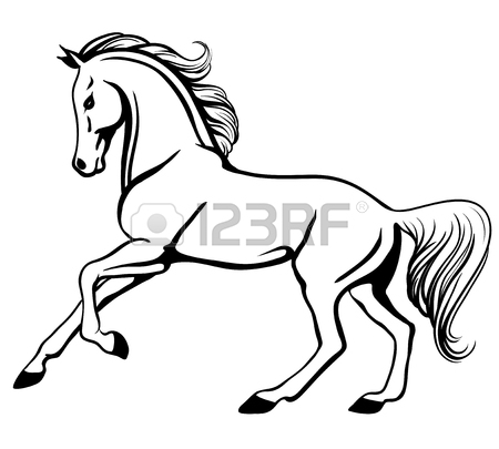 450x405 Vector Outline Illustration Of Beautiful Arabian Horse Royalty