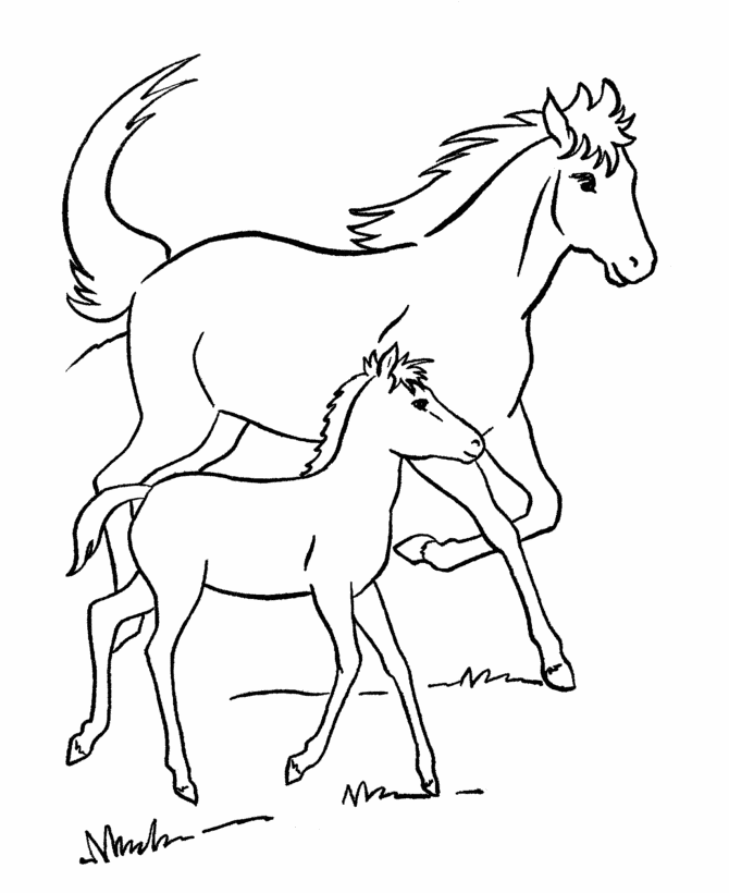 670x820 Horse Outline Printable For Kids