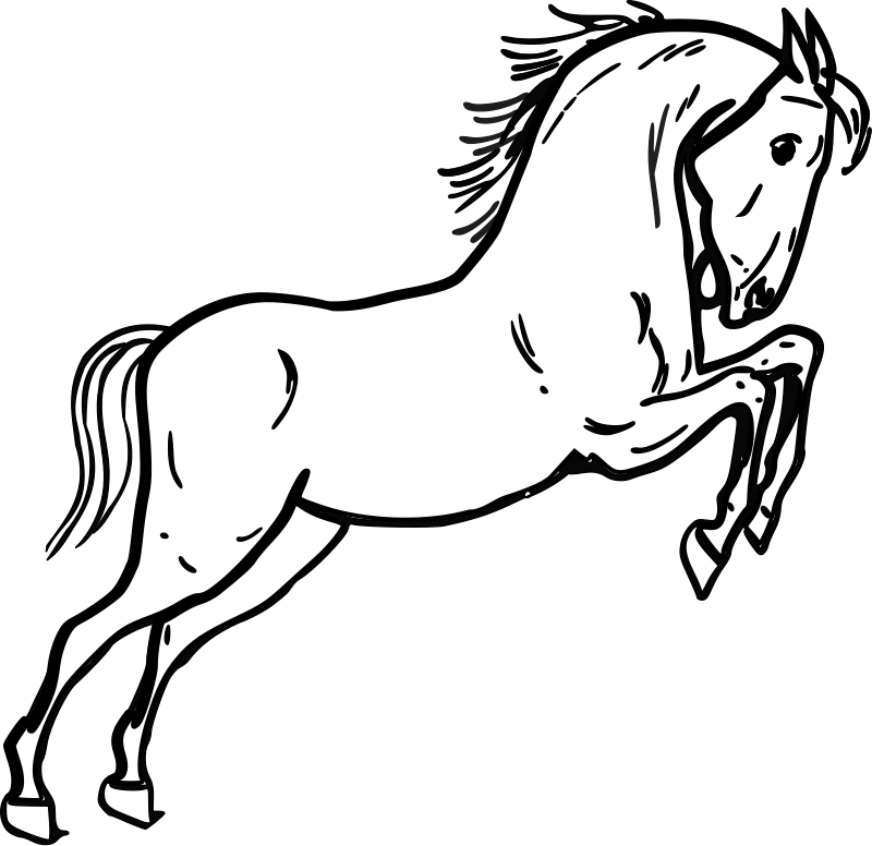 800x776 Coloring Pages Printable Outline Of Horse Clipart Best, Horse