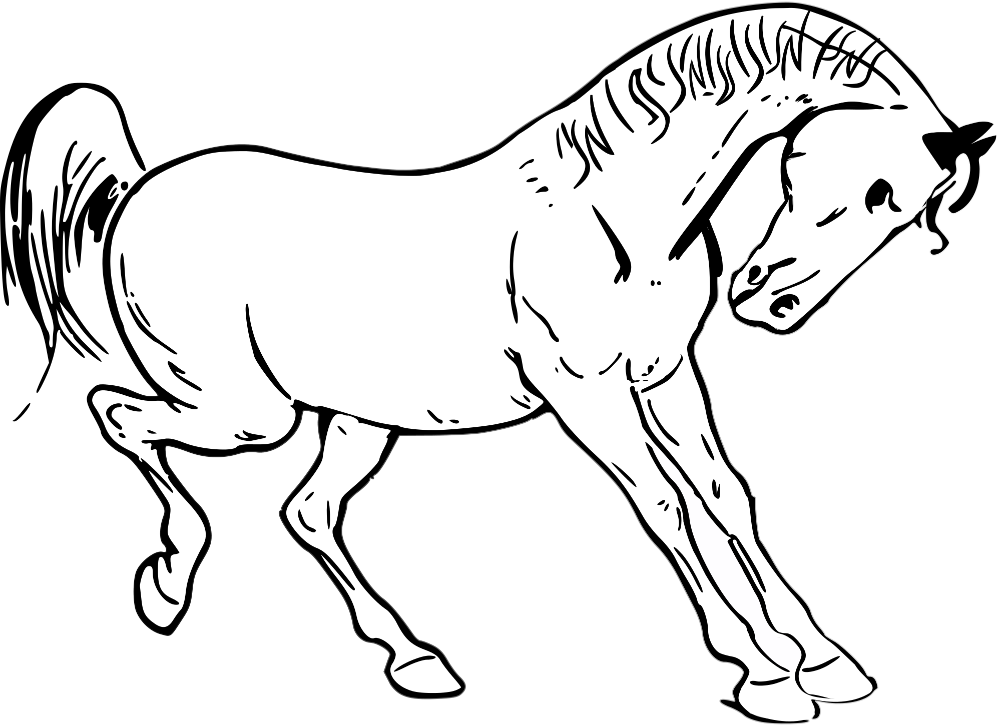 2000x1449 Filehorse Clipart.svg